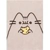 Pusheen Foodie Collection A5 pliušinė užrašų knygutė
