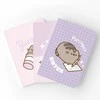 Pusheen – A5 formato užrašų knygelių rinkinys iš Moments kolekcijos (3 vnt.)