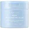 Pyunkang Snature „Aqua Oasis Panthe-Allan“ raminamieji veido padai, 60 vnt.
