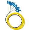 QOLTEC 54362 Qoltec Optic Pigtail 12x SC/APC | SM | 9/125 | 0,9 mm | G657A | 2 m
