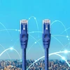 Qoltec UTP kabelis Patchcord CAT6 2xRJ45 1.5m aukštos spartos aukso