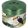 „Quokka Whim“ maisto indelis – terminė pietų dėžutė / pietų termosas 360 ml (tropinis)
