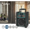 Radijas Nedis RDDB3100GN radijas Nešiojamas Analoginis ir skaitmeninis Juoda, Žalia