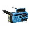 Alarm radio BLAUPUNKT ER10BC, mėlynas camo