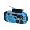 Alarm radio BLAUPUNKT ER10BC, mėlynas camo