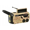 Radijo imtuvas Blaupunkt ER10DC