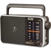 Radio Dartel Radio Dartel RD-19 juodas
