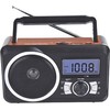 Radijas Dartel RD-20