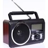 Radijas Dartel RD-20