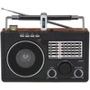 Radijas Dartel RD- 70