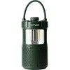 Radio Pure Pure Woodland Glow žalias