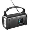 Sandberg Survivor DAB Radio All-in-1 20000 mAh, outdoor radio, BT speaker, powerbank, Juodas