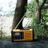 Daugiafunkcis DAB+ / FM-RDS radijas SANGEAN / MMR-88 DAB+ (USB-C)