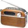 TIROSS Radijas PORTABLE Įkraunamas USB / Bluetooth