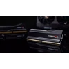 G.Skill Trident Z5 Neo RGB F5-6000J3244G64GX4-TZ5NR atminties modulis 256 GB 4 x 64 GB DDR5 6000 MT/s