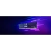 Kingston Renegade Pro DDR5 operatyvioji atmintis