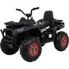 Ramiz Važiuoklė Quad ATV Desert Juodas