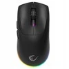 Pelė Rampage Prote M5 24000 DPI RGB LED 1kHz juoda