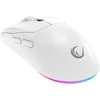 Pelė Rampage Prote M5 Pro 26000 DPI RGB LED 1kHz balta