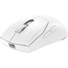 Pelė Rampage Prote M5 Pro 26000 DPI RGB LED 1kHz balta