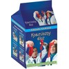 Rytinis RANOK Kosminis spyna - 15160251