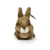 Rappa Eco-Friendly Pliušinis žaislas - triušis, 17 cm