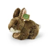 Rappa Eco-Friendly Pliušinis žaislas - triušis, 17 cm