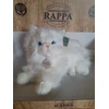 Rappa Eco-Friendly Pliušinis žaislas - persų ilgaplaukė katė, 30 cm