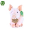 Disney Rappa - Plush Realistic Sitting Pig 18 cm Eco-Friendly