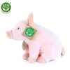 Disney Rappa - Plush Realistic Sitting Pig 18 cm Eco-Friendly