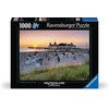 Dėlionė Ravensburger Baltic Resort Ahlbeck Usedom 1000 vnt galvosūkis