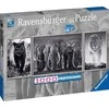 Ravensburger Dėlionė 1000 vnt. - Juodai balti gyvūnai