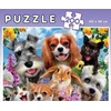 Educa dėlionė 200 vnt. - Augintiniai