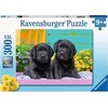 Ravensburger Dėlionė 300 vnt. - Maži lambradorai