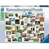 Ravensburger Dėlionė 1500 vnt. - Juokingi gyvūnai