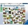 Ravensburger Dėlionė 1500 vnt. - Juokingi gyvūnai