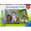 Ravensburger Dėlionė 3x49 vnt. - Kačiukai