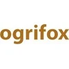 Raw Pol VINILINĖS PUDROVOTOS PIRŠTINĖS / 100 vnt. OGRIFOX S BUITINĖS IR APSAUGINĖS