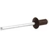 Haushalt Rawlplug Aliumininio plieno kupolinės spalvos 4.0x8 50 vnt.