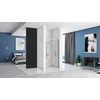 Dušo durys REA Rapid Swing Chrom 100