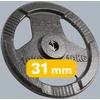 Ketaus svarelių rinkinys 2x10kg, skylė 31mm, plokštė su rankenomis, REBEL ACTIVE