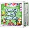 BrainBox - Aš mokausi apie REBEL gyvūnų prieglaudas