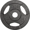 Ketaus svarelių rinkinys 4x2.5kg, skylė 31mm, plokštė su rankenomis, REBEL ACTIVE