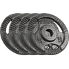 Ketaus svarelių rinkinys 4x2.5kg, skylė 31mm, plokštė su rankenomis, REBEL ACTIVE