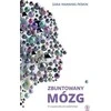 Rebis Sukilėlių smegenys