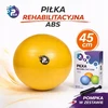 Reha Fund ABS PILO-1045 REHAFUND Rehabilitation Ball
