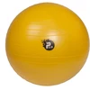 Reha Fund ABS PILO-1045 REHAFUND Rehabilitation Ball