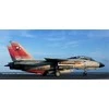 Revell Grumman F-14D Super Tomcat 1/72 plastikinis lėktuvo modelis