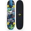 Riedlentė Element Skateboards SCHILDKRÖT FUNWHELLS Riedlentė Skateboard Slider 31'' Fast Track (510649)