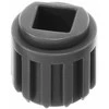 Rm Motors BOSCH SANKABA 10011109 pagal 523